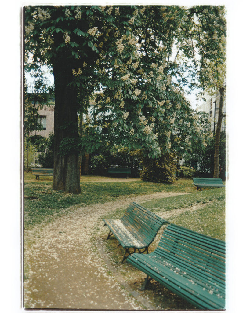 Spring-snow-handprint-rapid-eye-darkroom-london